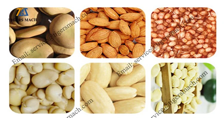 product-750-396 product-750-396