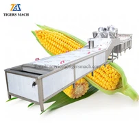 Garisan Proses Jagung Beku