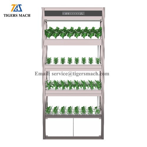 Mesin Tanam Sayur Hidroponik