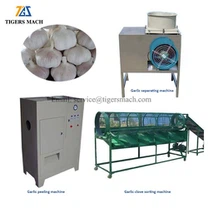 Talian Proses Bawang Putih Dikupas